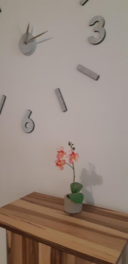 Apartments Olivia Пула Екстериор снимка